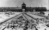 Dokument SS KL Auschwitz
