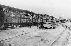 Євреї у вагонах вузькоколійної залізниці по дорозі до табору смерті у Хелмні; (ŻIH)