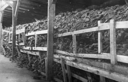 Majdanek (KT Lublin) – zuhelnatělé tělesné ostatky ležící u krematorijních pecí; červenec 1944, po osvobození tábora. (AIPN)