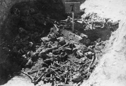 Jeden z hrobů objevených v rámci exhumačních prací v areálu tábora Majdanek (KT Lublin); podzim 1944 (AIPN