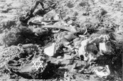 Ostatky a osobní předměty obětí vyhlazovacího tábora Bełżec. (AIPN)