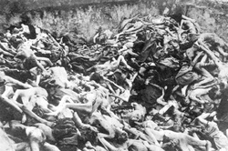 Koncentrációs tábor Bergen-Belsenben – a meggyilkolt foglyok közös sírja; 1945. április, a tábor felszabadulása után. (AIPN)