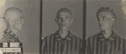 Czesław Markiewicz tábori fényképei – egy radomi lakatosé, akit ismeretlen okokból fivérével, Grzegorz-zsal és rokonával, Tadeusz Miernikkel együtt letartóztattak és Auschwitzbe hurcoltak (tábori száma 10546), ahol életét vesztette. (Állami Levéltár, Radom)