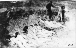 Tömeges kivégzés a stutthofi lágerben. (AIPN)
