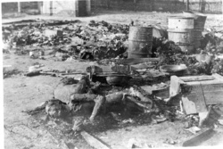 Átmeneti tábor a Poznań melletti Żabikowóban – a láger kiürítése során a németek által agyonlőtt, majd elégetett foglyok holtteste; 1945. január, a tábor felszabadítása után. (AIPN)