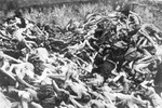 KL Bergen-Belsen- una fossa comune delle vittime, aprile 1945 alla liberazione del campo; (IPN)