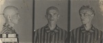 Foto segnaletiche del detenuto Czesław Markiewicz, fabbro ferraio di Radom, arrestato per motivi ignoti insieme al fratello Grzegorz e a un suo parente, Tadeusz Miernik, trasportato a KL Auschwitz (numero di matricola 10546) dove perse la vita; (Archivio Statale di Radom)
