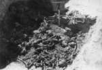 Una delle fosse comuni dissotterrate durante le operazioni di esumazione nel KL Majdanek; autunno 1944; (IPN)