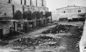 KL Majdanek – szczątki zwęglonych zwłok leżące koło pieców krematoryjnych; lipiec 1944 r. po wyzwoleniu obozu. (IPN)