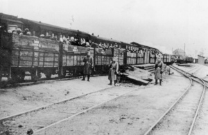 Żydzi w wagonach kolejki wąskotorowej w drodze do obozu zagłady w Chełmnie. (ŻIH)